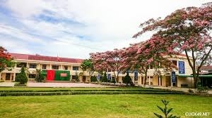 Phượng tím sân trường