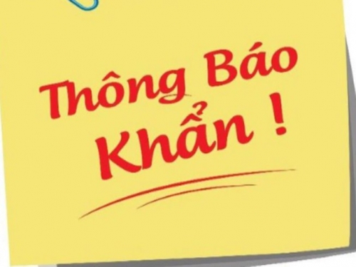 Thông báo khẩn: Học sinh tỉnh Lâm Đồng nghỉ học từ ngày 03/02/2021